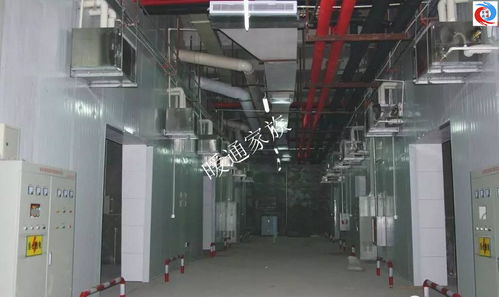 開(kāi)開(kāi)眼界 食用菌工廠化培育環(huán)境系統(tǒng)工程現(xiàn)場(chǎng)實(shí)拍