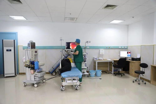 技術服務 設備、環境與專業能力缺一不可